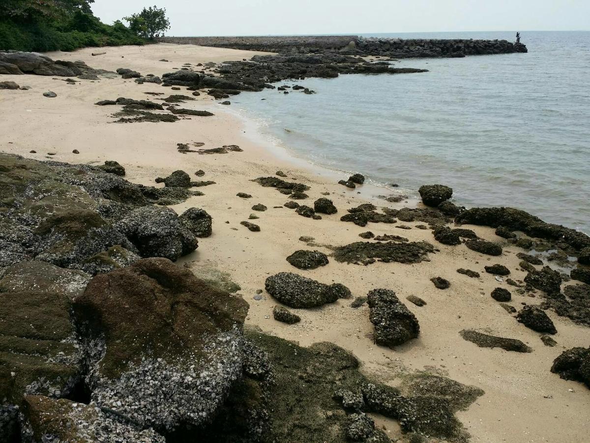 Serenity Pattaya Beach المظهر الخارجي الصورة